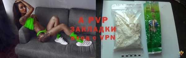шишки Мегион