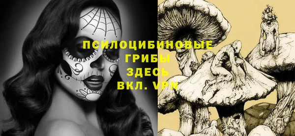 гидропоника Абдулино
