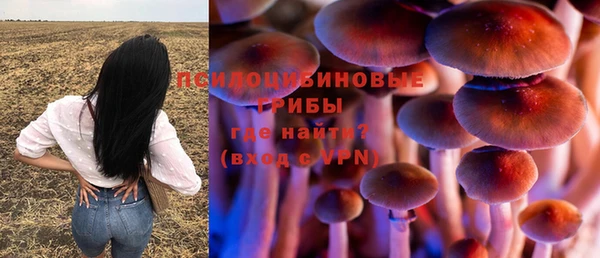 гидропоника Абдулино