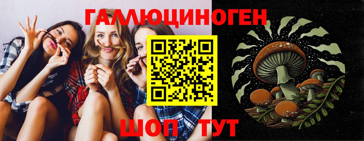 Псилоцибиновые грибы GOLDEN TEACHER  Вход с VPN  Электросталь  Галлюциногенные грибы ЛСД 