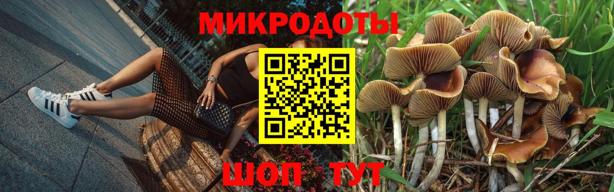 Псилоцибиновые грибы Cubensis Электросталь